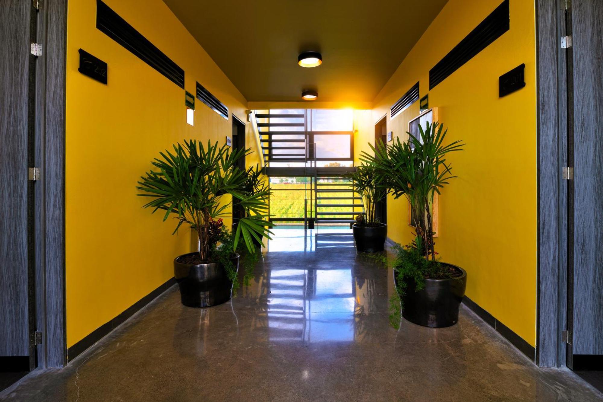Arboleda 5 Luxury Lofts Aparthotel Silao Exterior photo